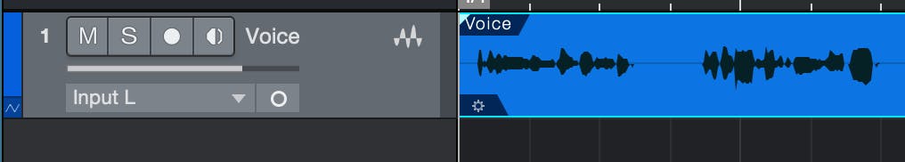 Create an audio track and import or record your vocal signal