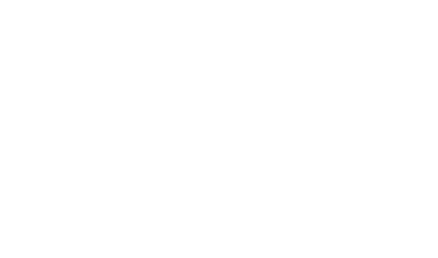 nx logo